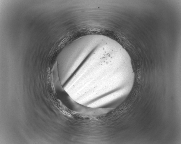 X0000078830916200612041809