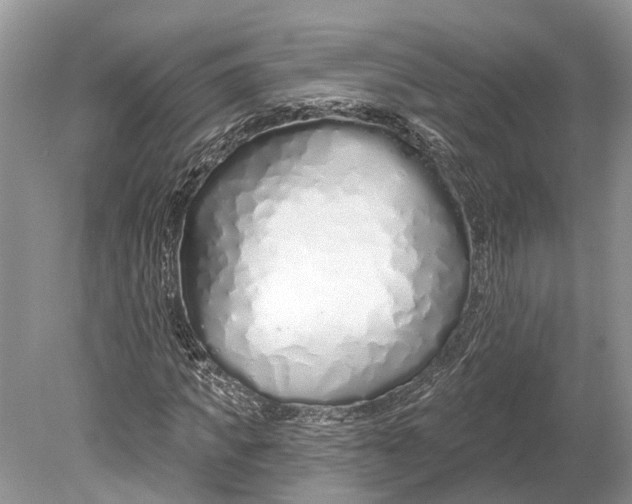 X0000078830917200612041809