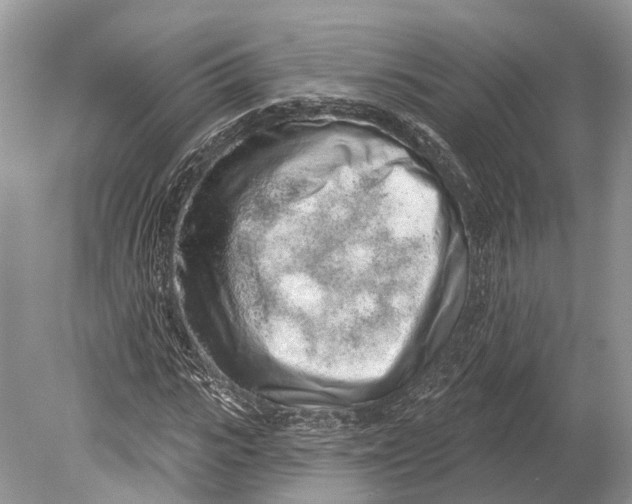 X0000078830919200612041809