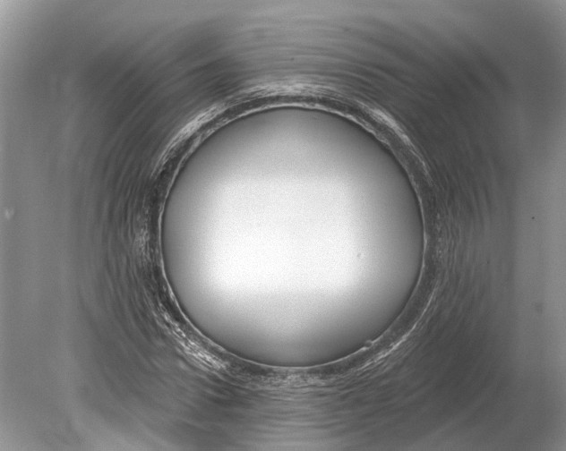 X0000078830922200612041809