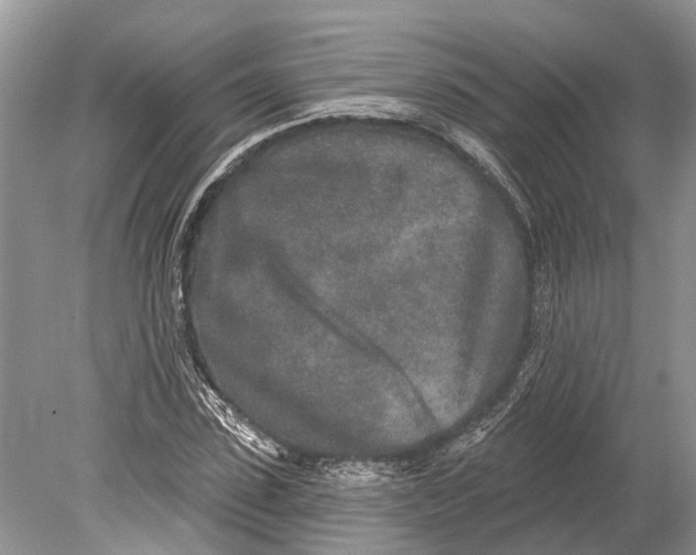 X0000078830923200612041809