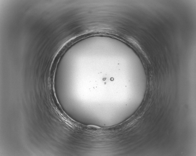 X0000078830924200612041809