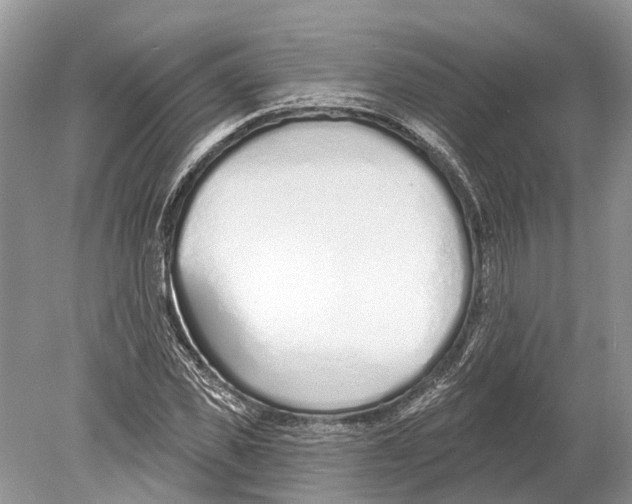 X0000078830925200612041809