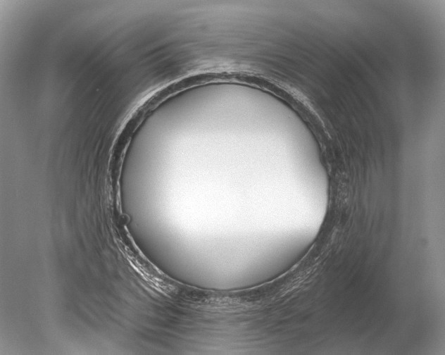 X0000078830927200612041809