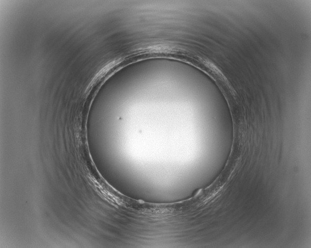 X0000078830930200612041809