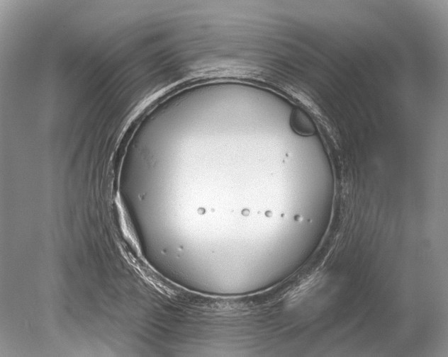 X0000078830933200612041809