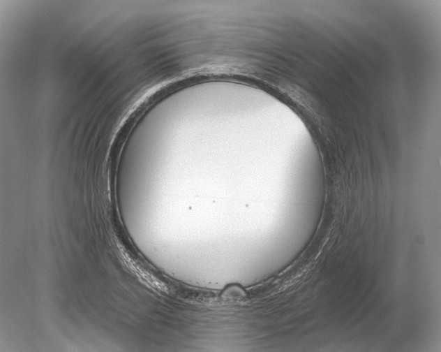 X0000078830934200612041809