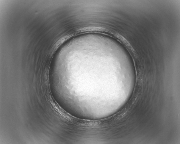 X0000078830937200612041809