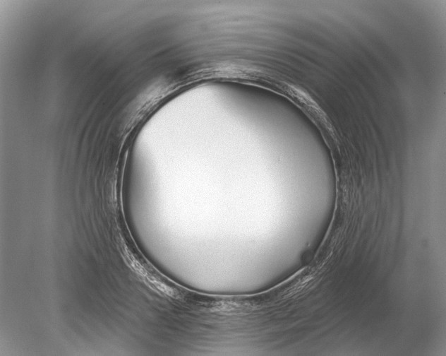 X0000078830938200612041809