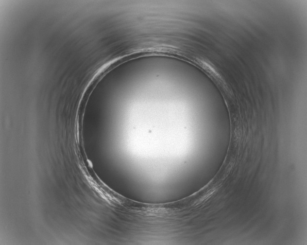 X0000078830940200612041809