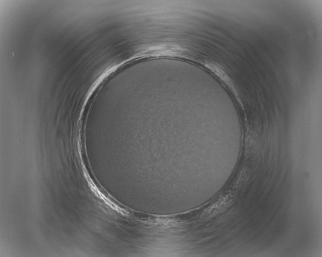 X0000078830941200612041809