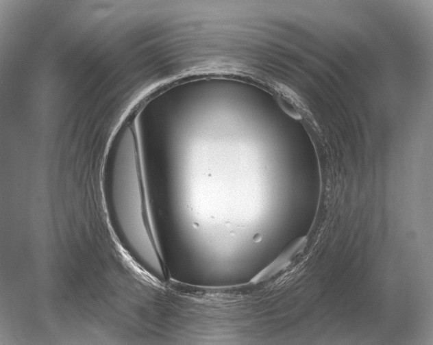 X0000078830942200612041809