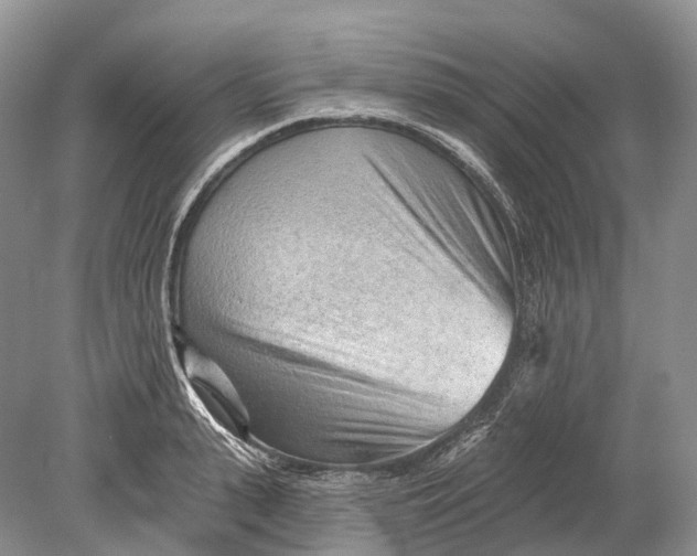 X0000078830943200612041809