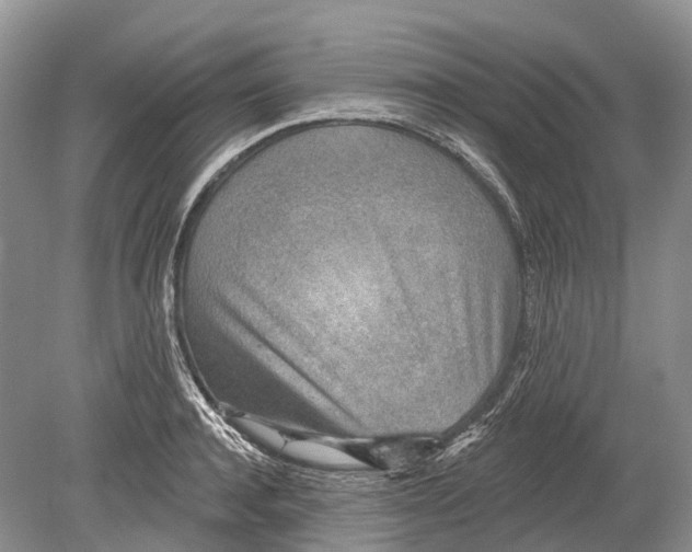 X0000078830944200612041809