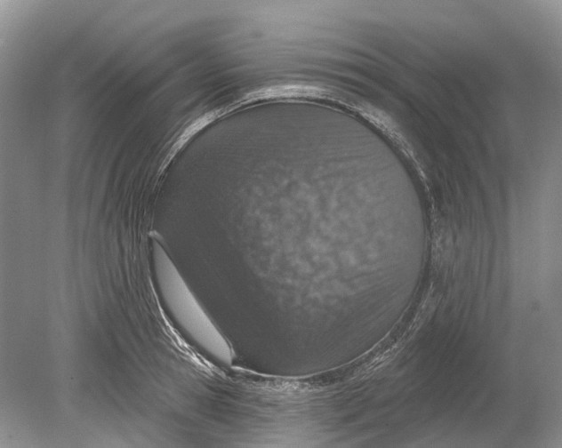 X0000078830945200612041809