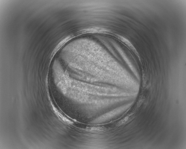 X0000078830946200612041809