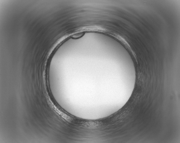 X0000078830947200612041809