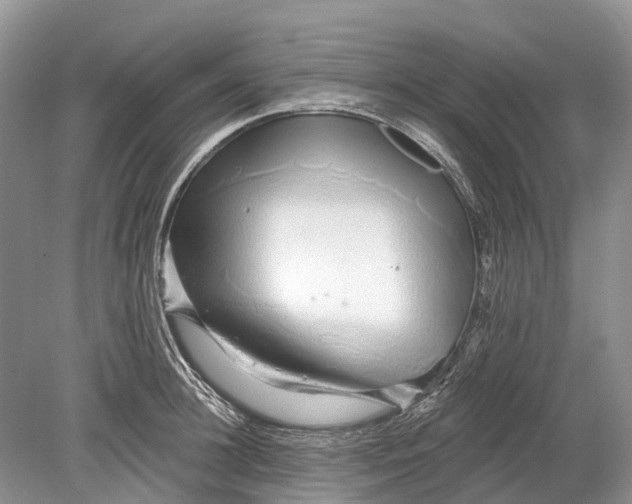 X0000078830948200612041810