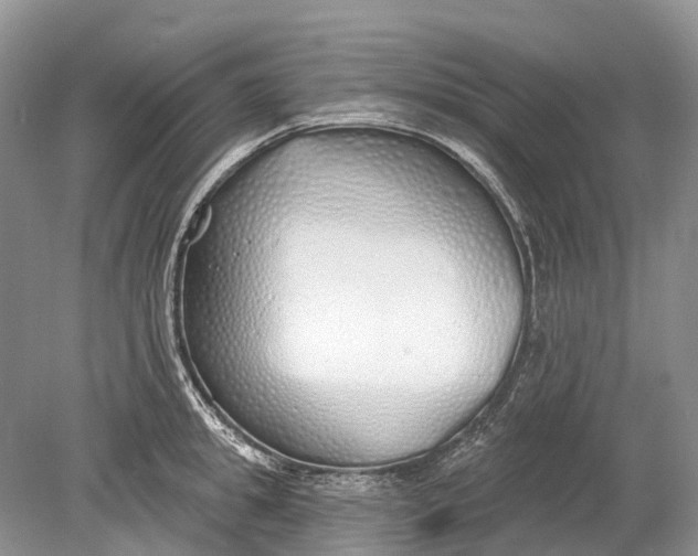 X0000078830949200612041810