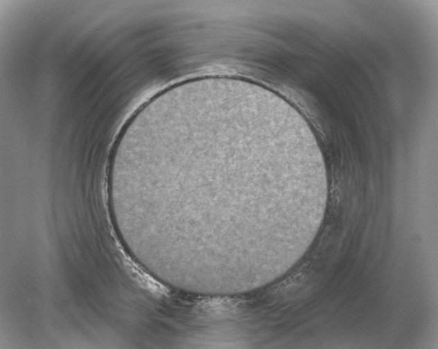 X0000078830950200612041810