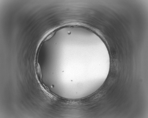 X0000078830951200612041810