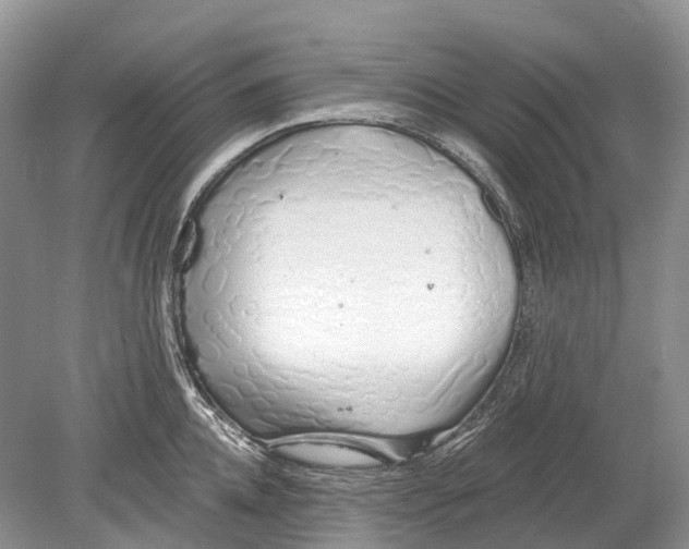 X0000078830952200612041810