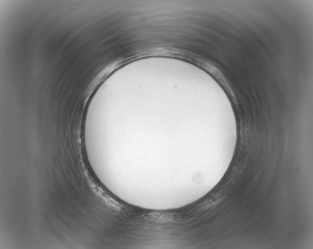 X0000078830954200612041810