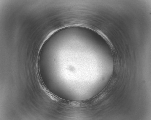 X0000078830956200612041810