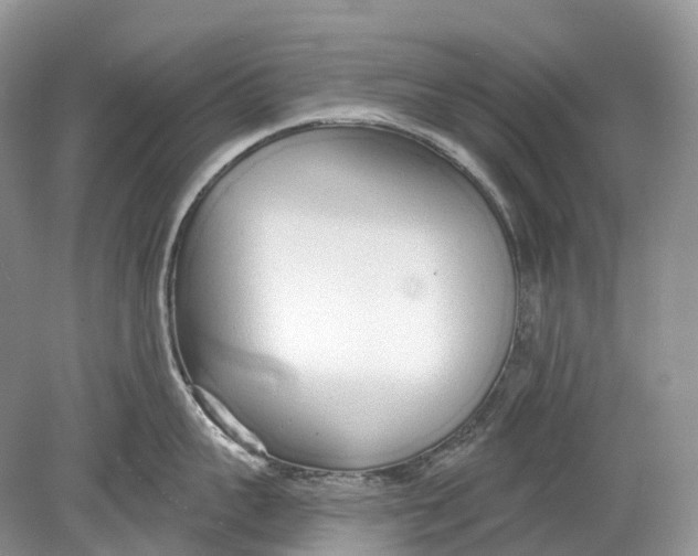 X0000078830959200612041810