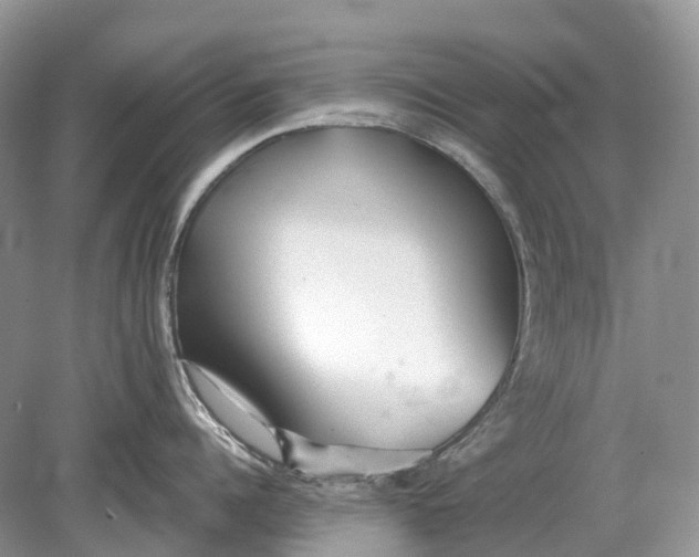 X0000078830960200612041810