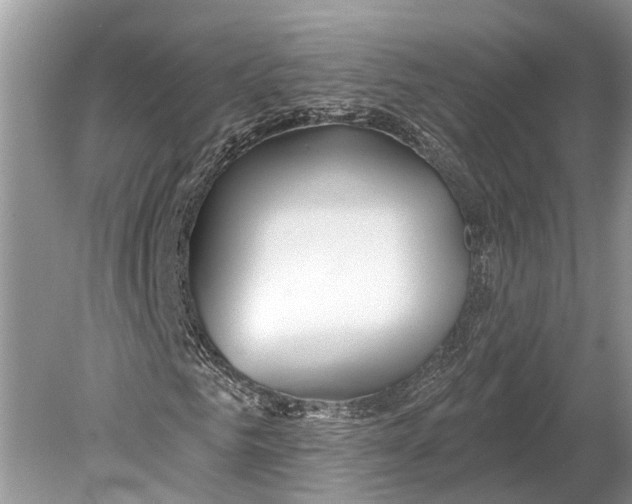 X0000078830961200612041809