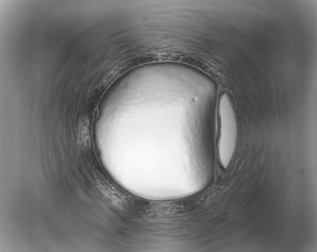 X0000078830963200612041809