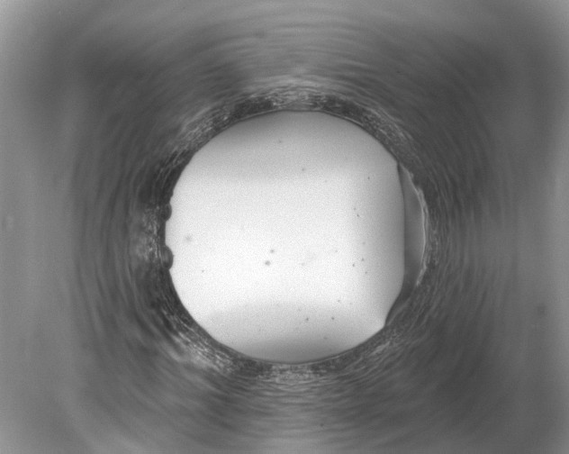 X0000078830964200612041809