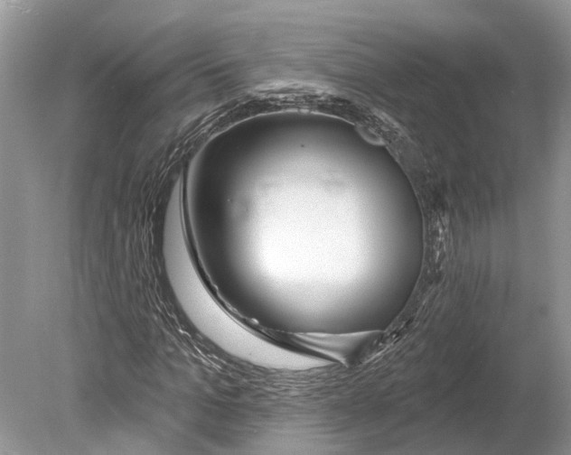 X0000078830965200612041809