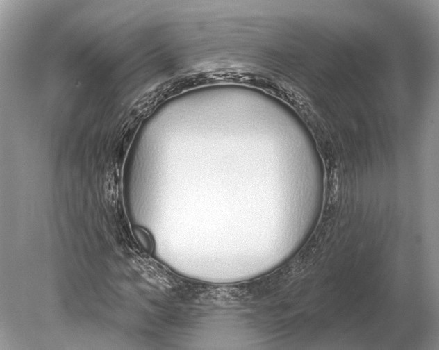 X0000078830966200612041809