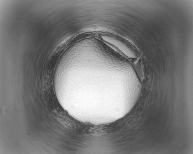 X0000078830967200612041809