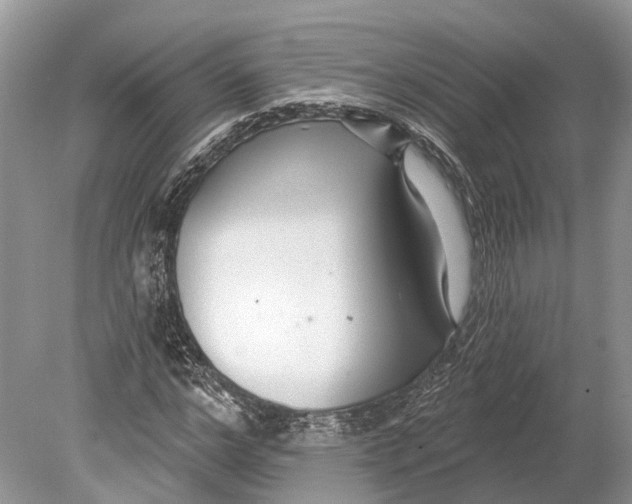 X0000078830968200612041809