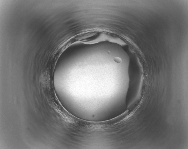 X0000078830969200612041809