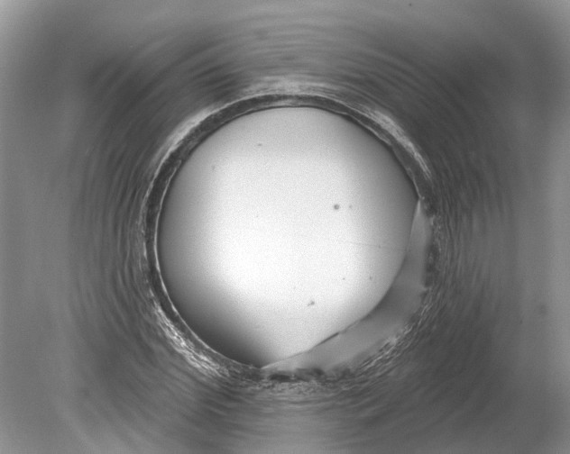 X0000078830972200612041809