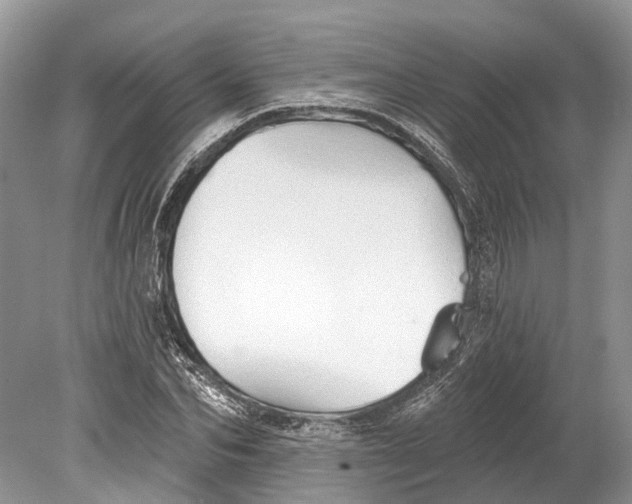 X0000078830974200612041809