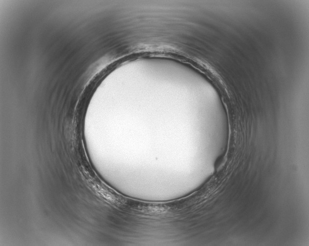 X0000078830975200612041809