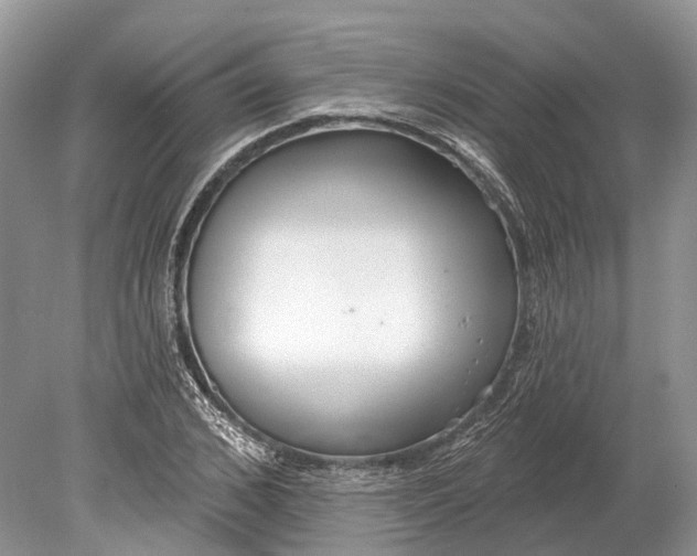 X0000078830976200612041809