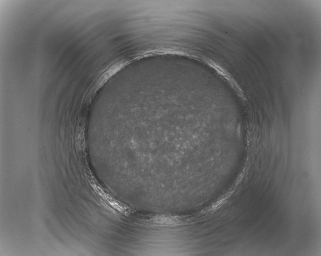 X0000078830977200612041809