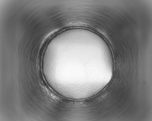 X0000078830979200612041809