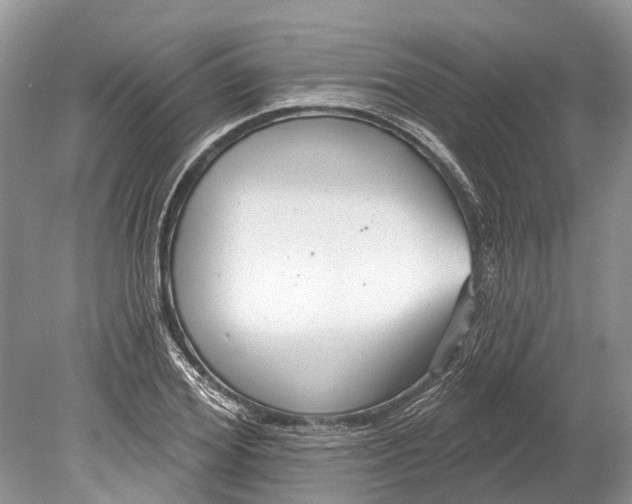 X0000078830980200612041809