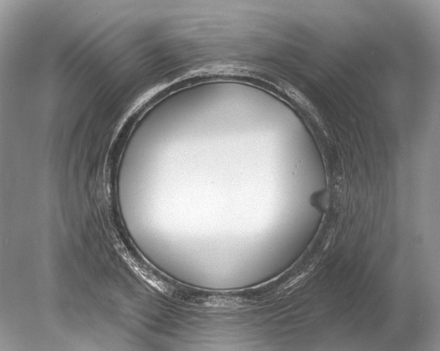 X0000078830981200612041809