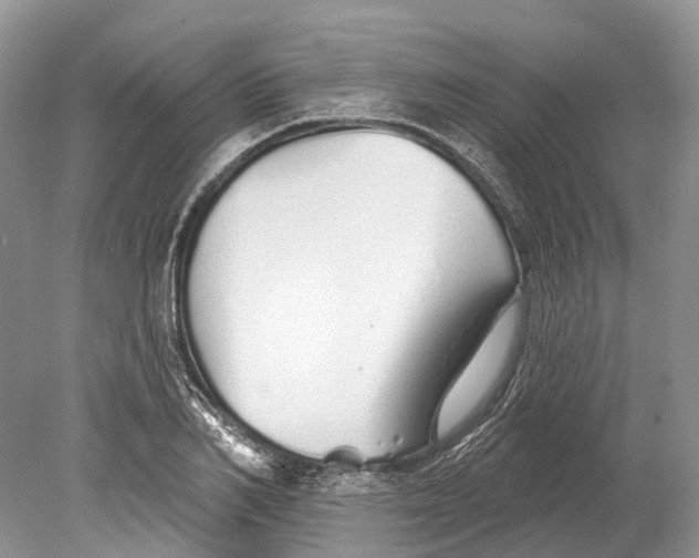 X0000078830982200612041809