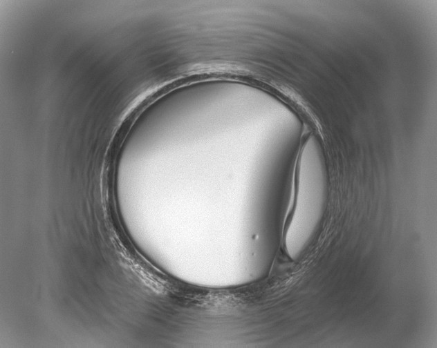 X0000078830983200612041809