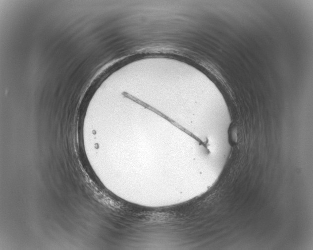 X0000078830984200612041809