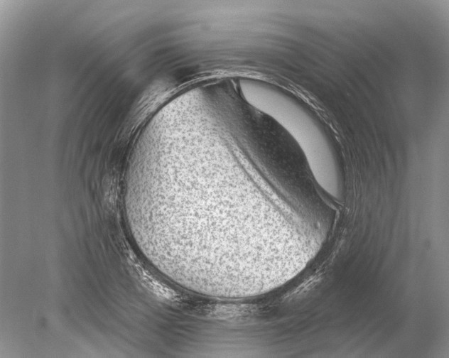 X0000078830985200612041808